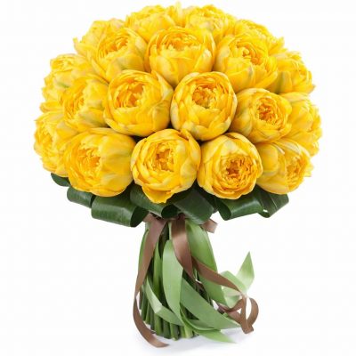 Пион желтый